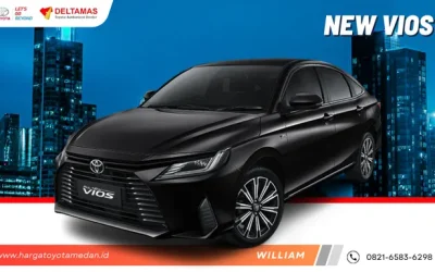New Vios